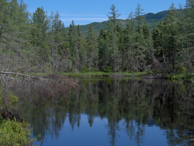 Lac Chevreuil