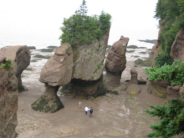 Pots de Fleurs 002.JPG