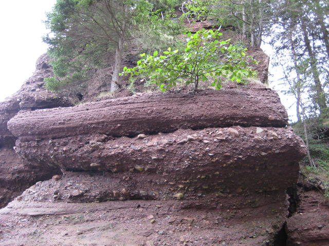 Pots de Fleurs 012.JPG