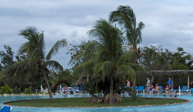 Une île dans la piscine