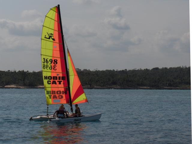 Mini catamaran